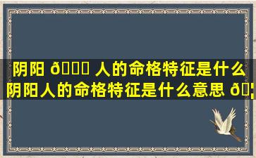 阴阳 🐎 人的命格特征是什么（阴阳人的命格特征是什么意思 🦉 ）